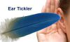 Ear tickler
