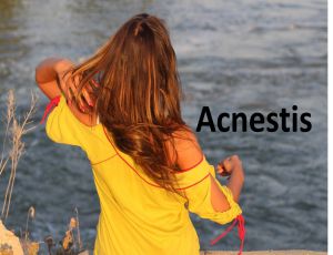Acnestis