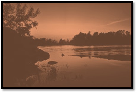  /> </p>
<p><span style=