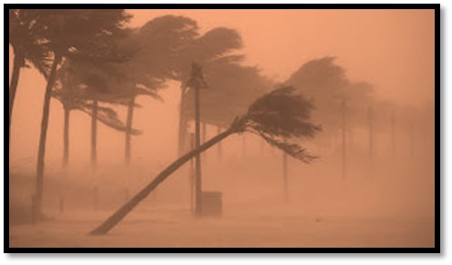  /></p>
<p><span style=