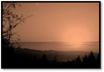 /></span></p>
<p style=