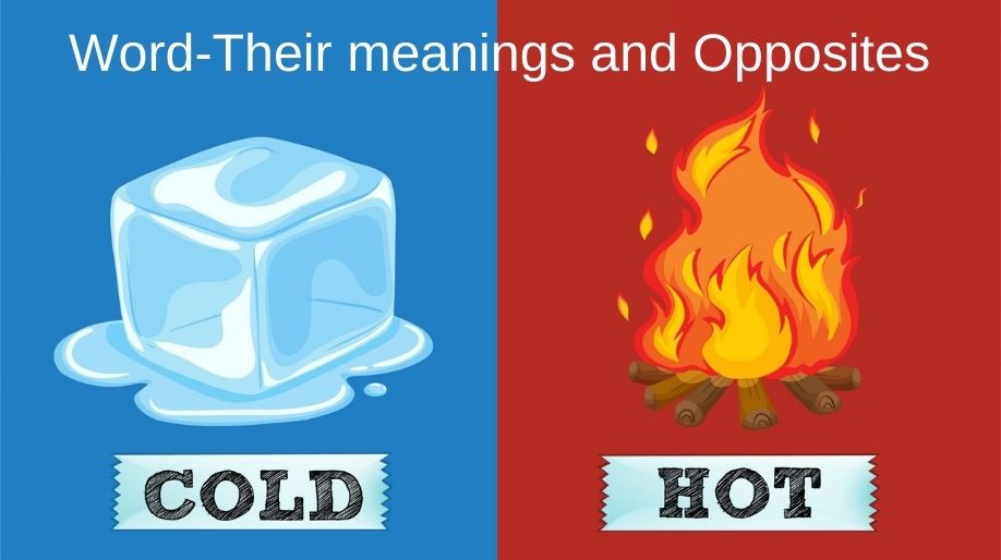 Words - Their Meanings and Opposites
