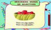 Adjectives - The Describing Words! image