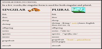 Singular Plural and One Word Substitution