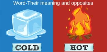 Words - Their Meanings and Opposites